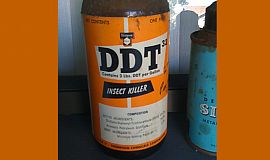 INTERNATIONAL EXPERT GROUP INSISTS ON FINDING ALTERNATIVES TO THE COMPLETE PHASE-OUT OF DDT