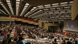 Синергизм всех конвенций, регулирующих химические вещества, будет обсужден на Конференции Сторон 2021/2022
