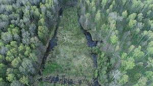 Проект проводит обследование Дрибинского захоронения непригодных пестицидов