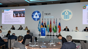THE PROJECT PARTICIPATED IN THE INTERNATIONAL CONFERENCE WITHIN THE COOPERATION OF THE CIS MEMBER STATES